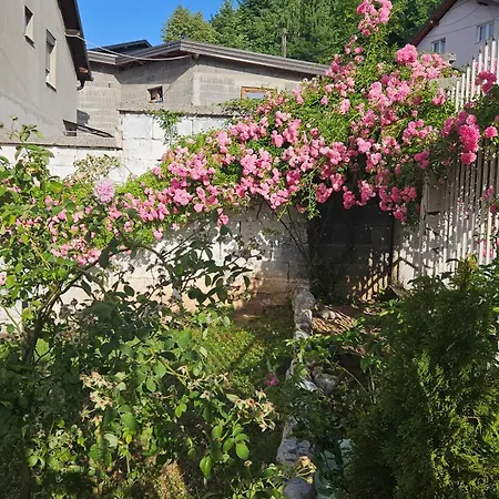Ado Apartment *